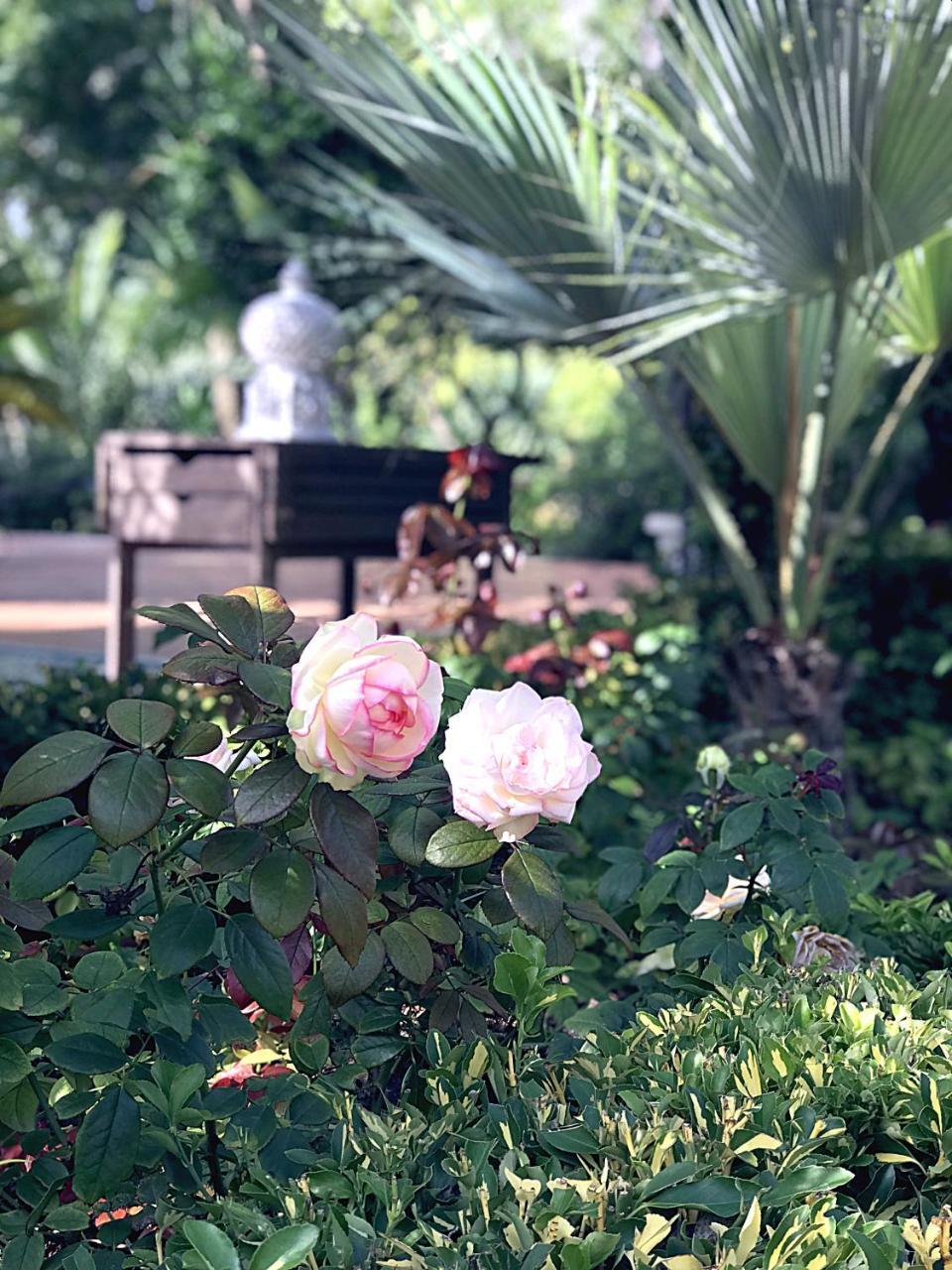 Villa Marrone - Relais - Марсала Экстерьер фото