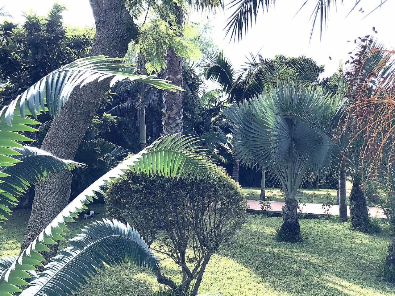 Villa Marrone - Relais - Марсала Экстерьер фото